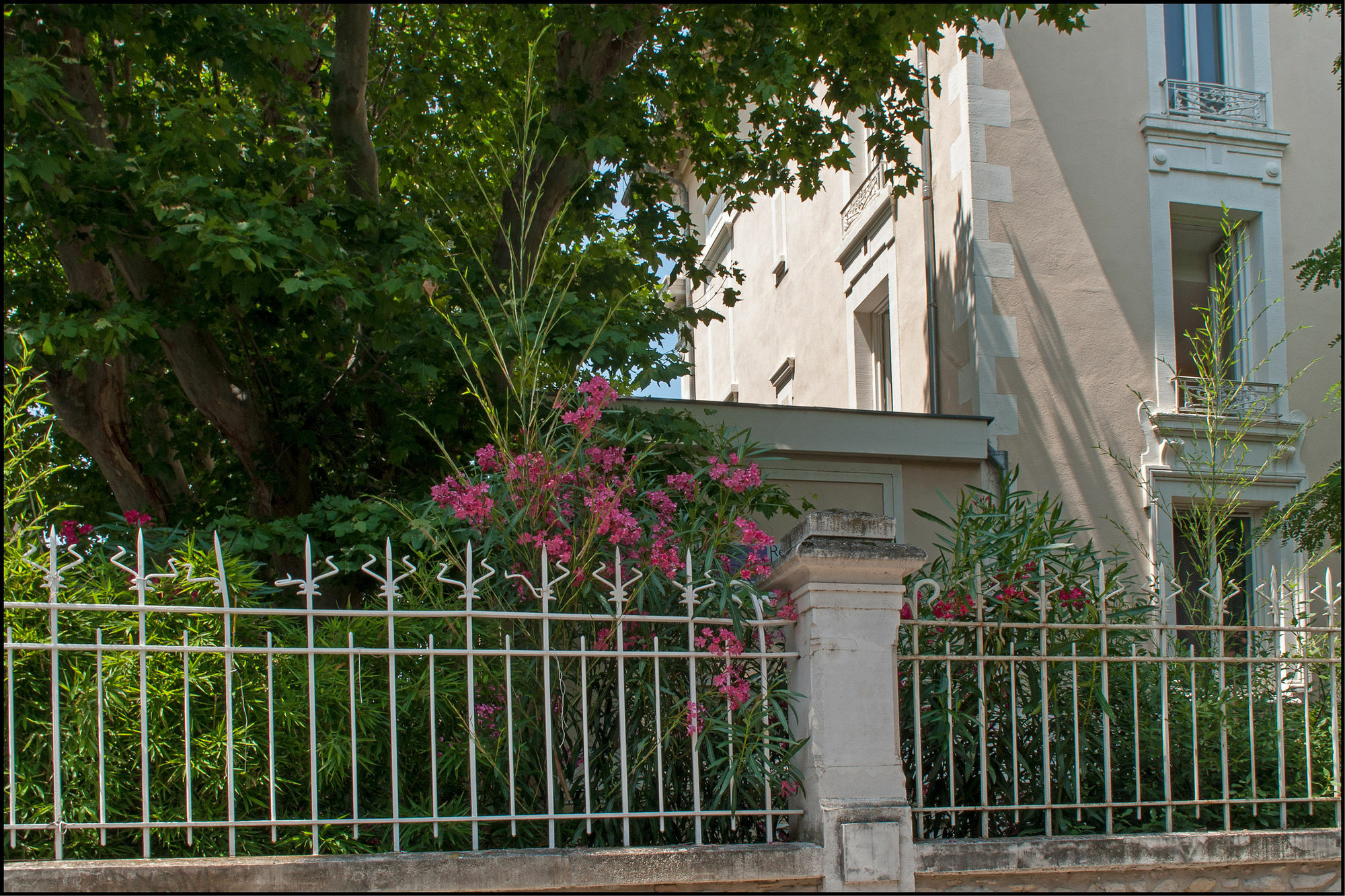 Residence Les Cordeliers Avignon Buitenkant foto